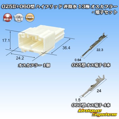 画像1: 矢崎総業 025II+060型 ハイブリッド 非防水 13極 オスカプラー・端子セット (025型II 9極+060型 4極)
