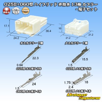 画像1: 矢崎総業 025II+060型 ハイブリッド 非防水 13極 カプラー・端子セット (025型II 9極+060型 4極)