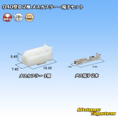 画像1: 矢崎総業 040型III 非防水 2極 メスカプラー・端子セット タイプ1