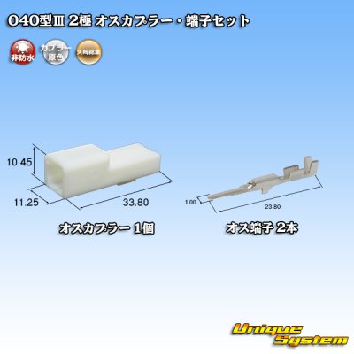 画像1: 矢崎総業 040型III 非防水 2極 オスカプラー・端子セット タイプ1