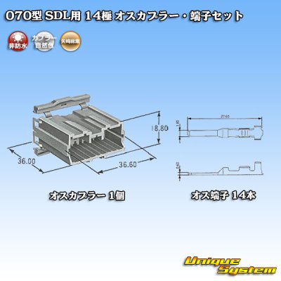 画像5: 矢崎総業 070型 SDL用 非防水 14極 オスカプラー・端子セット