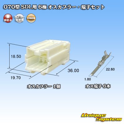 画像1: 矢崎総業 070型 SDL用 非防水 6極 オスカプラー・端子セット