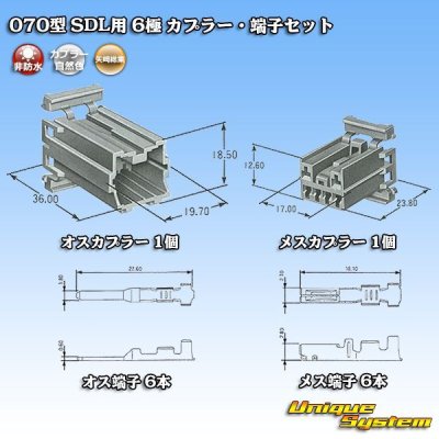 画像8: 矢崎総業 070型 SDL 非防水 6極 カプラー・端子セット
