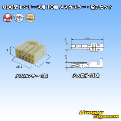 画像4: 矢崎総業 090型II 非防水 10極 メスカプラー・端子セット