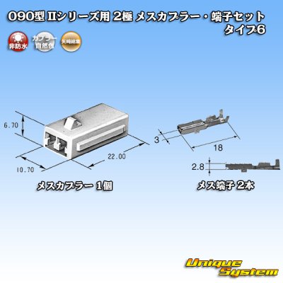 画像2: 矢崎総業 090型II 非防水 2極 メスカプラー・端子セット タイプ6