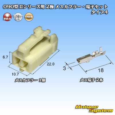 画像1: 矢崎総業 090型II 非防水 2極 メスカプラー・端子セット タイプ4
