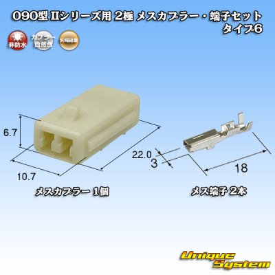 画像1: 矢崎総業 090型II 非防水 2極 メスカプラー・端子セット タイプ6