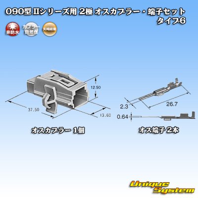 画像2: 矢崎総業 090型II 非防水 2極 オスカプラー・端子セット タイプ6