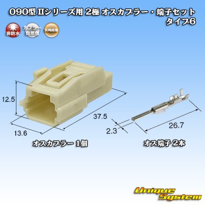 画像1: 矢崎総業 090型II 非防水 2極 オスカプラー・端子セット タイプ6