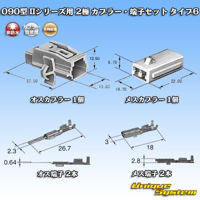 画像2: 矢崎総業 090型II 非防水 2極 カプラー・端子セット タイプ6