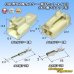 画像1: 矢崎総業 090型II 非防水 2極 カプラー・端子セット タイプ3 (オス側ブラケット有) (1)