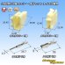 画像1: 矢崎総業 090型II 非防水 2極 カプラー・端子セット タイプ5 縦型 (1)