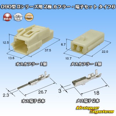 画像1: 矢崎総業 090型II 非防水 2極 カプラー・端子セット タイプ6