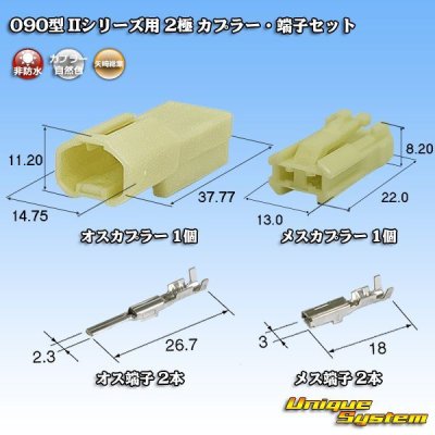 画像1: 矢崎総業 090型II 非防水 2極 カプラー・端子セット タイプ1