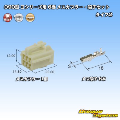 画像1: 矢崎総業 090型II 非防水 6極 メスカプラー・端子セット タイプ2