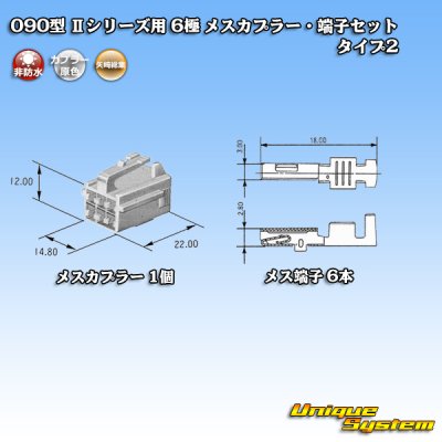 画像4: 矢崎総業 090型II 非防水 6極 メスカプラー・端子セット タイプ2