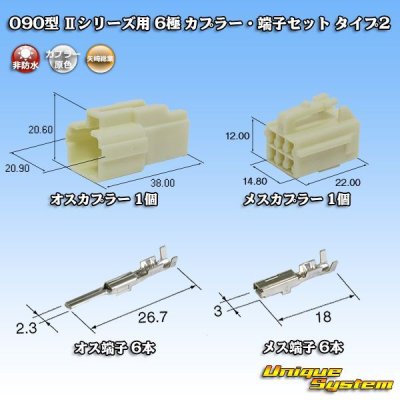 画像1: 矢崎総業 090型II 非防水 6極 カプラー・端子セット タイプ2