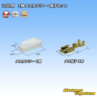 画像1: 矢崎総業 250型 CN(A) 非防水 1極 メスカプラー・端子セット