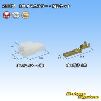 矢崎総業 250型 CN(A) 非防水 1極 オスカプラー・端子セット