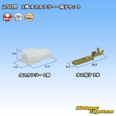 画像1: 矢崎総業 250型 CN(A) 非防水 1極 オスカプラー・端子セット