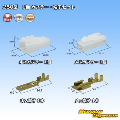 画像1: 矢崎総業 250型 CN(A) 非防水 1極 カプラー・端子セット