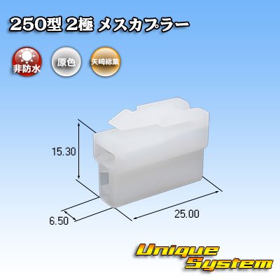 画像1: 矢崎総業 250型 CN(A) 非防水 2極 メスカプラー