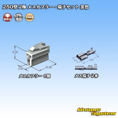 画像4: 矢崎総業 250型 CN(A) 非防水 2極 メスカプラー・端子セット 黒色