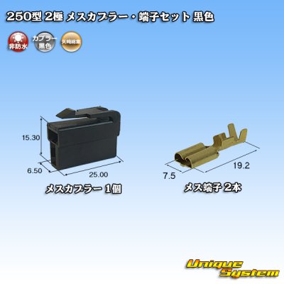 画像1: 矢崎総業 250型 CN(A) 非防水 2極 メスカプラー・端子セット 黒色