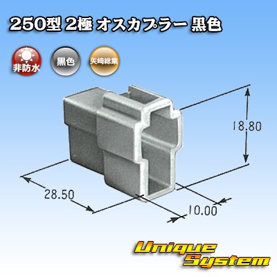 画像3: 矢崎総業 250型 CN(A) 非防水 2極 オスカプラー 黒色