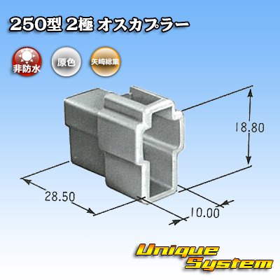 画像3: 矢崎総業 250型 CN(A) 非防水 2極 オスカプラー