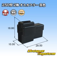 矢崎総業 250型 CN(A) 非防水 2極 オスカプラー 黒色