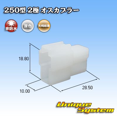 画像1: 矢崎総業 250型 CN(A) 非防水 2極 オスカプラー