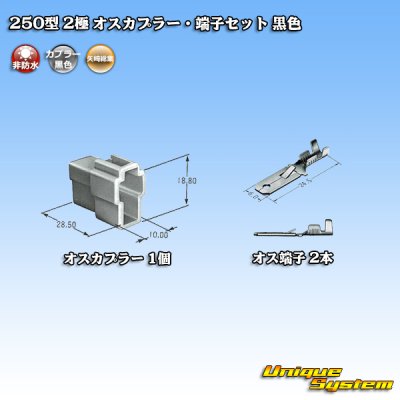 画像4: 矢崎総業 250型 CN(A) 非防水 2極 オスカプラー・端子セット 黒色