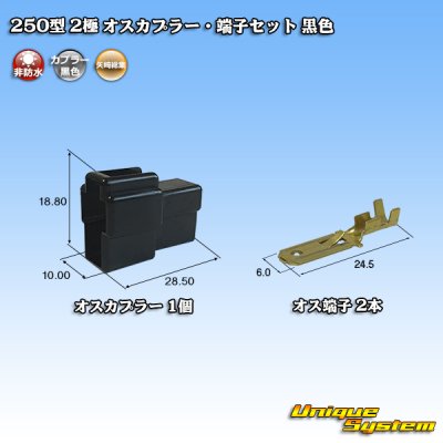 画像1: 矢崎総業 250型 CN(A) 非防水 2極 オスカプラー・端子セット 黒色