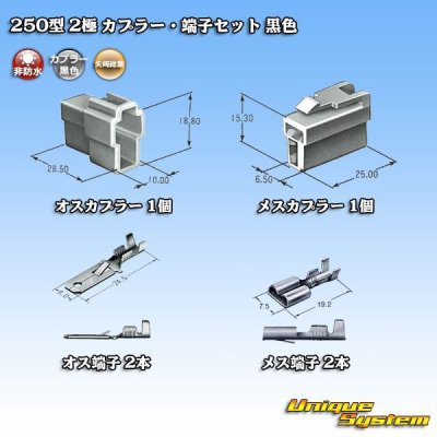 画像5: 矢崎総業 250型 CN(A) 非防水 2極 カプラー・端子セット 黒色