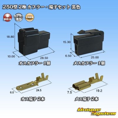 画像1: 矢崎総業 250型 CN(A) 非防水 2極 カプラー・端子セット 黒色