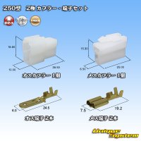 矢崎総業 250型 CN(A) 非防水 2極 カプラー・端子セット