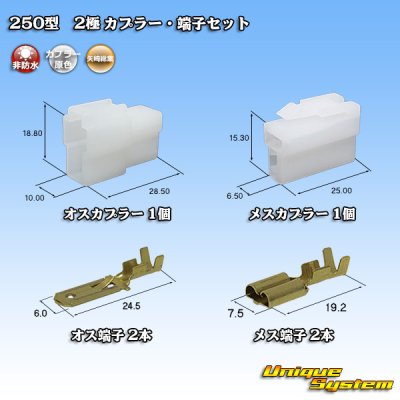 画像1: 矢崎総業 250型 CN(A) 非防水 2極 カプラー・端子セット