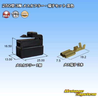画像1: 矢崎総業 250型 CN(A) 非防水 3極 メスカプラー・端子セット 黒色