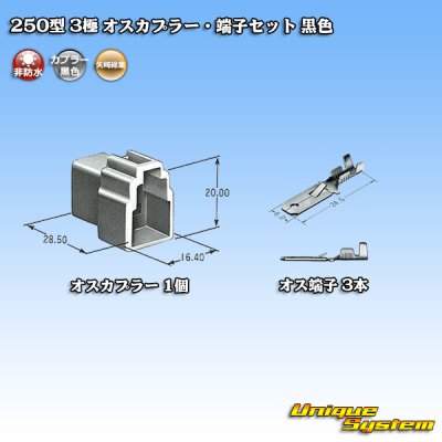 画像4: 矢崎総業 250型 CN(A) 非防水 3極 オスカプラー・端子セット 黒色