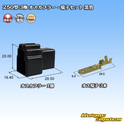 画像1: 矢崎総業 250型 CN(A) 非防水 3極 オスカプラー・端子セット 黒色