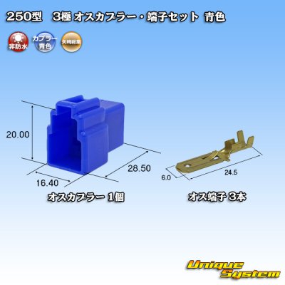 画像1: 矢崎総業 250型 CN(A) 非防水 3極 オスカプラー・端子セット 青色