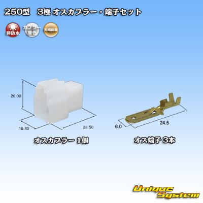 画像1: 矢崎総業 250型 CN(A) 非防水 3極 オスカプラー・端子セット