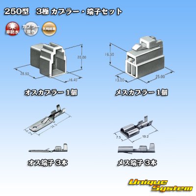 画像5: 矢崎総業 250型 CN(A) 非防水 3極 カプラー・端子セット