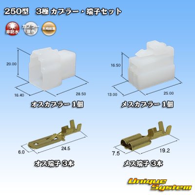 画像1: 矢崎総業 250型 CN(A) 非防水 3極 カプラー・端子セット