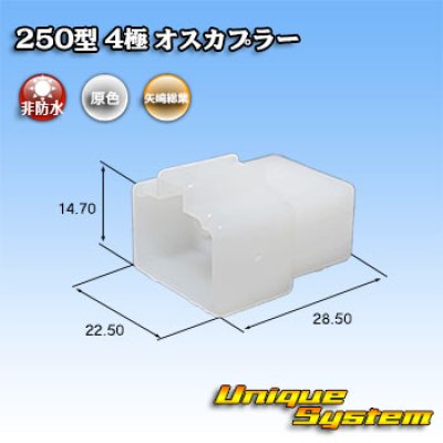 画像1: 矢崎総業 250型 CN(A) 非防水 4極 オスカプラー