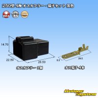 矢崎総業 250型 CN(A) 非防水 4極 オスカプラー・端子セット 黒色