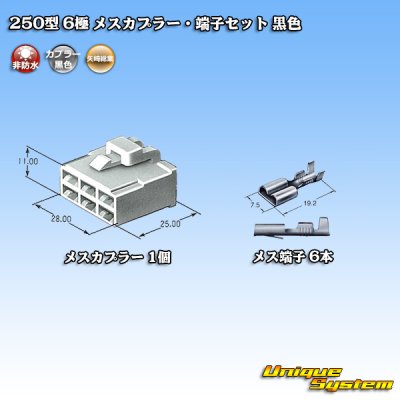 画像4: 矢崎総業 250型 CN(A) 非防水 6極 メスカプラー・端子セット 黒色