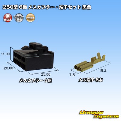 画像1: 矢崎総業 250型 CN(A) 非防水 6極 メスカプラー・端子セット 黒色