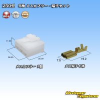 矢崎総業 250型 CN(A) 非防水 6極 メスカプラー・端子セット